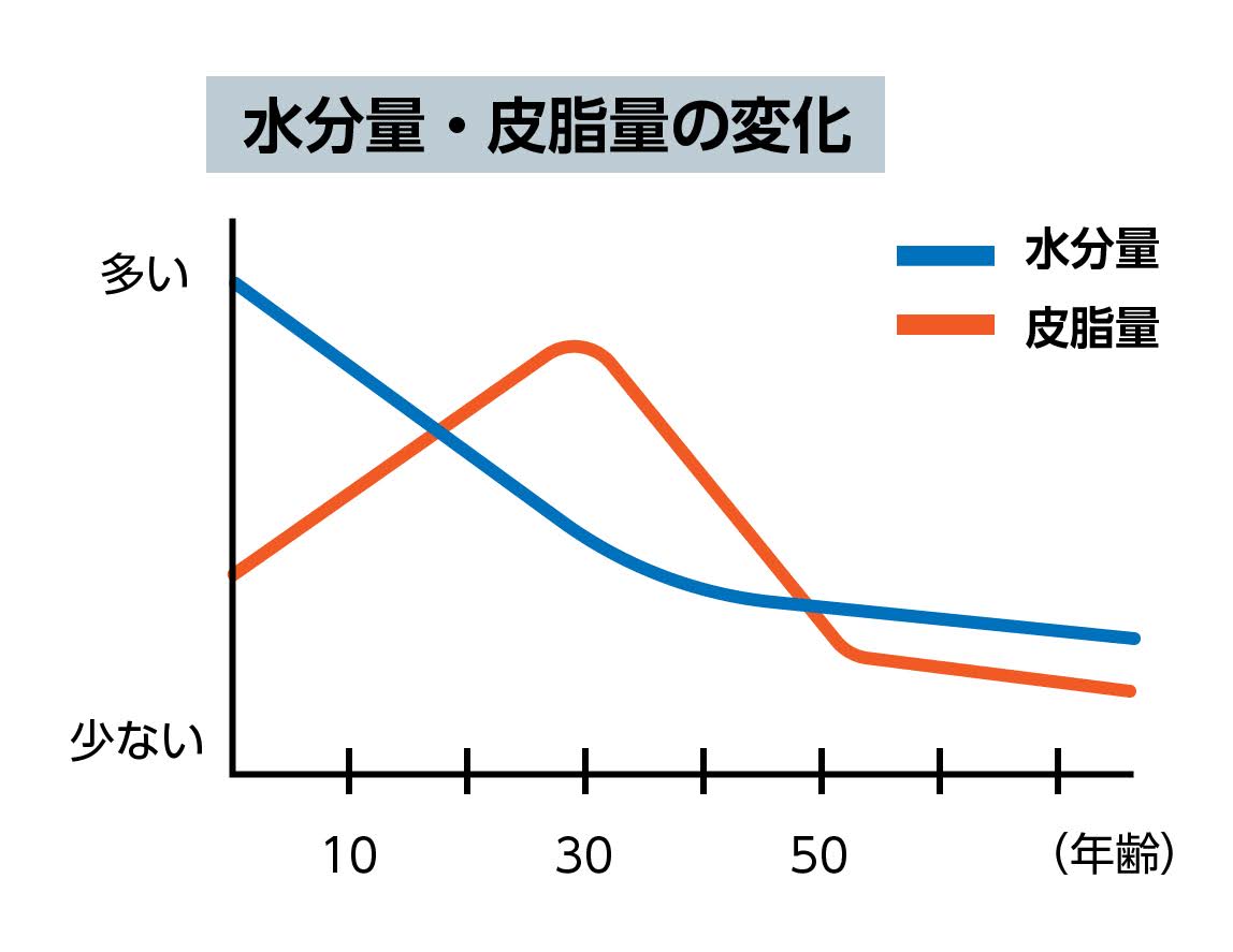 水分量・皮脂量の変化