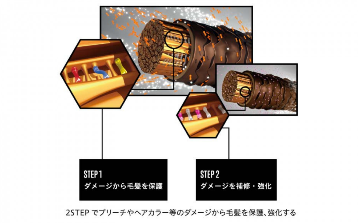 ボンディングテクノロジーの解説