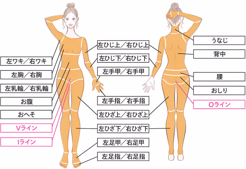レジーナクリニック(全身脱毛+VIO)