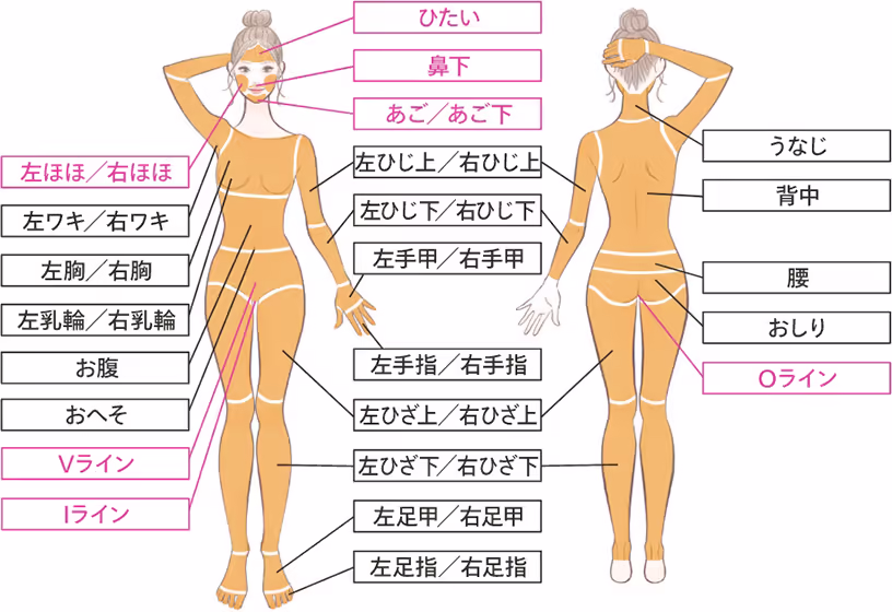 レジーナクリニック(全身脱毛+VIO+顔)