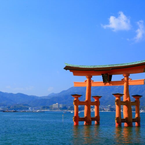 広島でヒゲ脱毛が行える医療脱毛クリニック10選！永久脱毛の回数やデメリットは？のイメージ