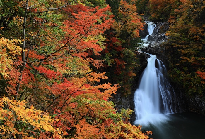 秋田の着物買取は出張買取がおすすめ