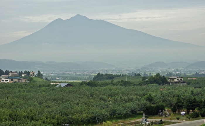 弘前の着物買取は出張買取がおすすめ