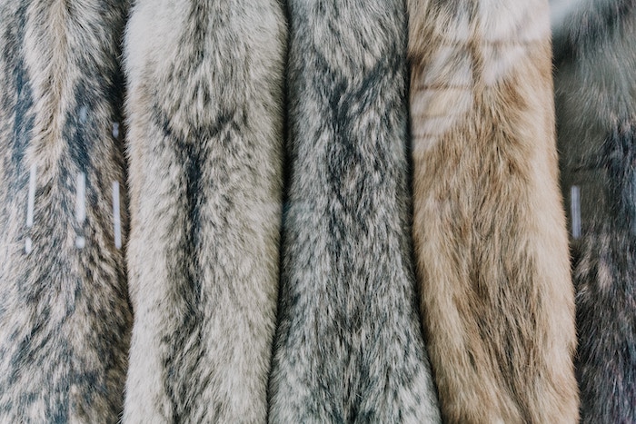 毛皮の買取相場