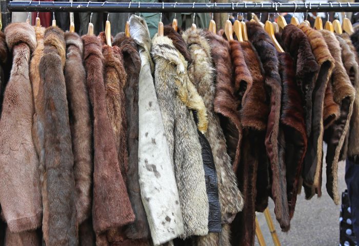 古い毛皮でも買取できる？高く売れる毛皮の種類