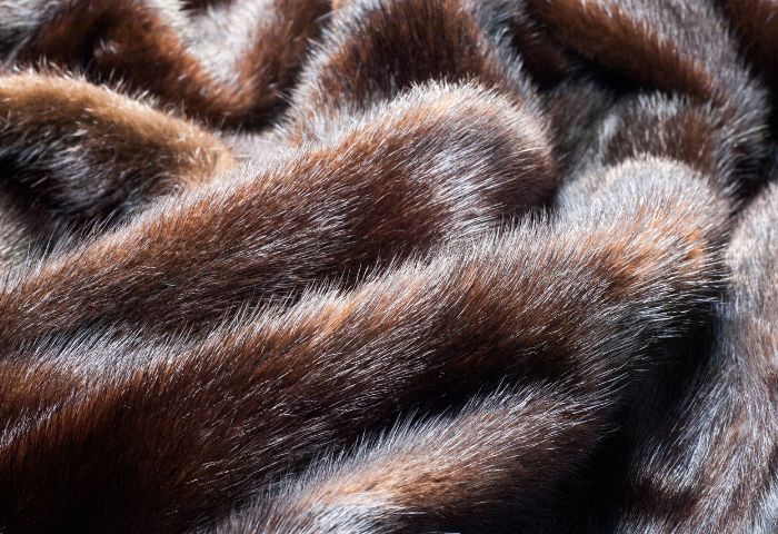 毛皮の持ち込み買取メリット・デメリット