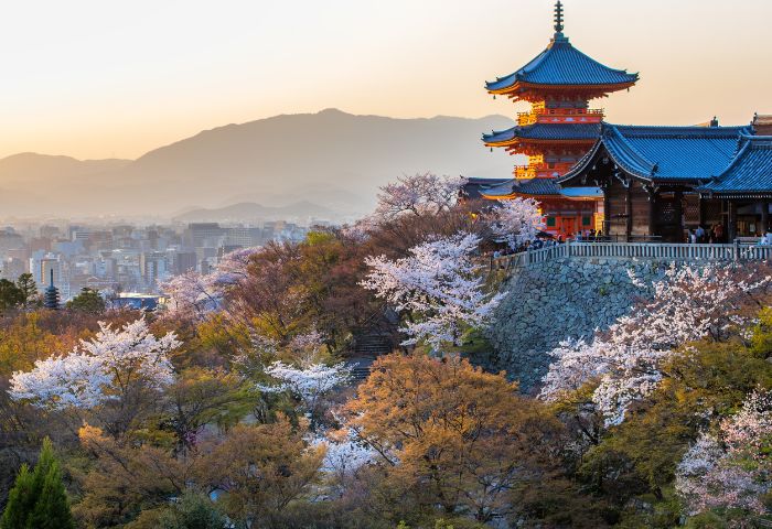 京都でiPhoneを高く売るための買取店の選び方