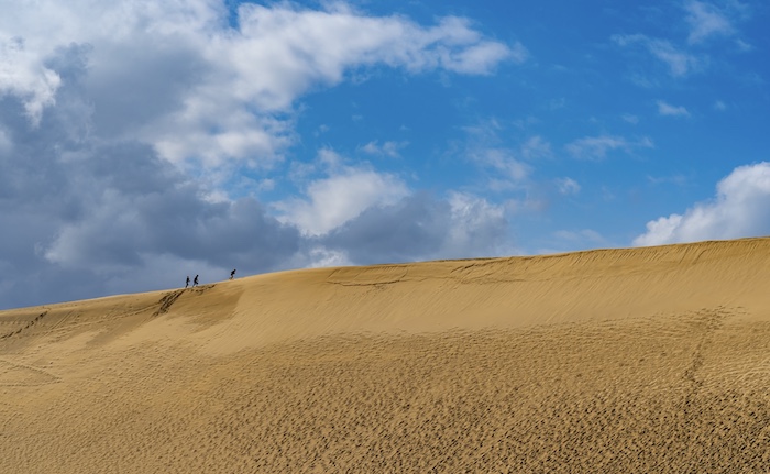 鳥取の着物買取は出張買取がおすすめ