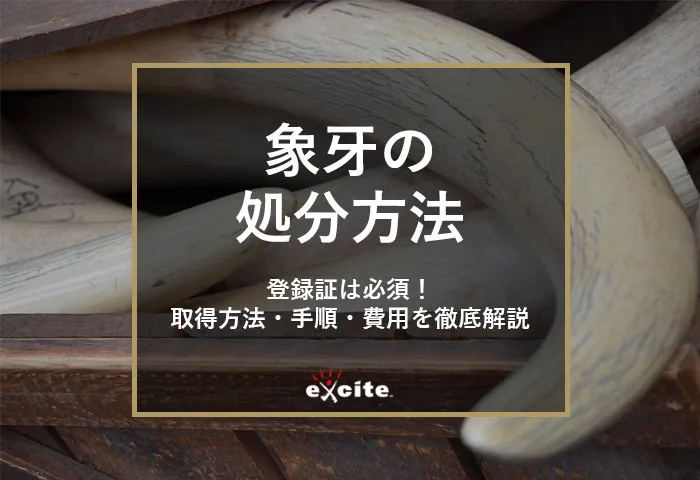 【象牙を処分したい時の対処法】登録方法・費用まで分かりやすく解説