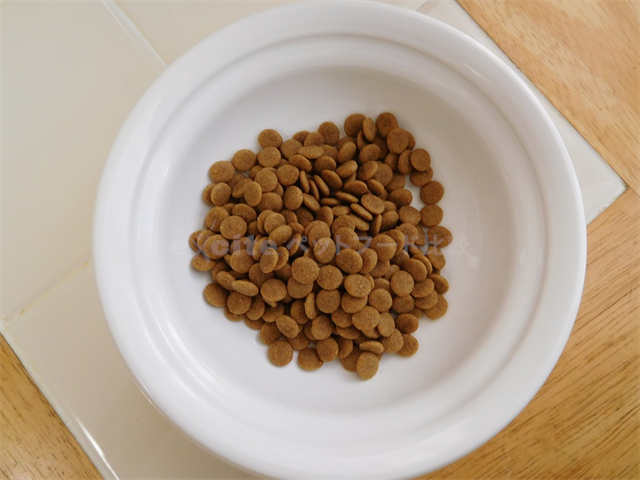 新品未開封 JPスタイル 和の究み セレクトヘルスケア 腎臓ガード 25g×8袋 4箱セット 賞味期限23年9月 PETLINE キャットフード 80 G302IM 蔵 新品未開封 JPスタイル 和の究み セレクトヘルスケア 腎臓ガード 25g×8袋 4箱セット 賞味期限23年9月 PETLINE キャットフード 80 G302IM 蔵