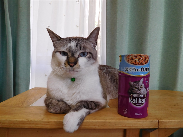 カルカン缶詰キャットフードを購入した口コミ評判 安全性や評価は