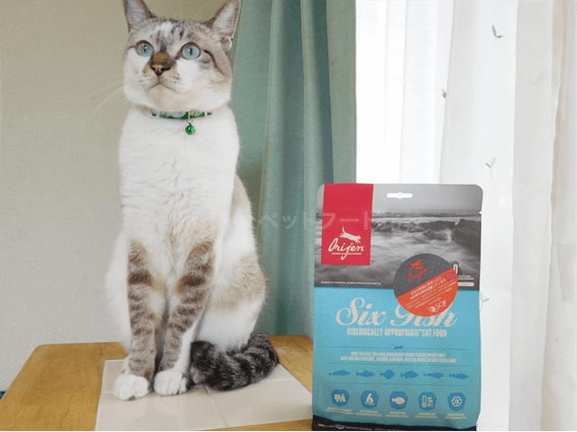 オリジン 6フィッシュ キャットフードを愛猫に購入した私の口コミ評判
