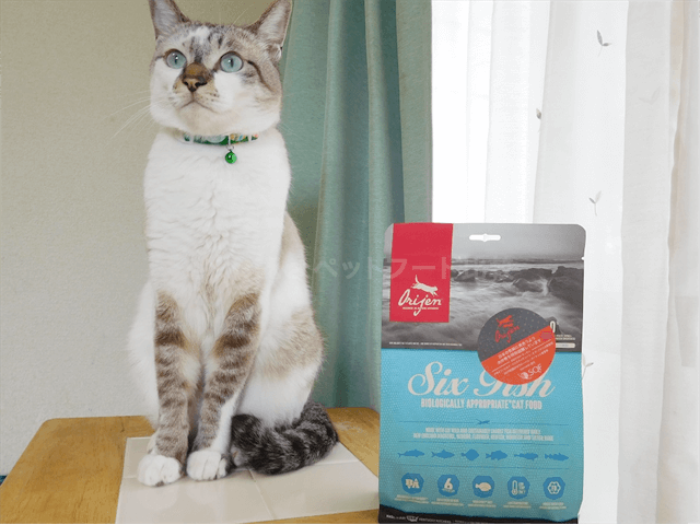 尿路結石の猫におすすめの餌!pHコントロール用キャットフード5選