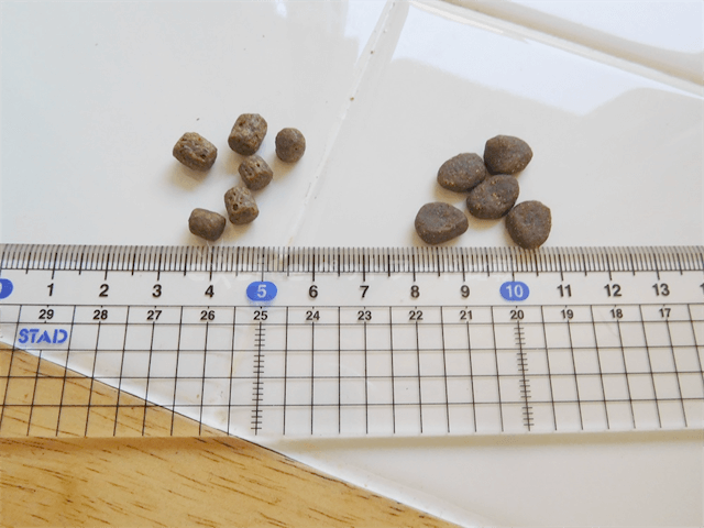 オリジン 6フィッシュ キャットフードを愛猫に購入した私の口コミ評判