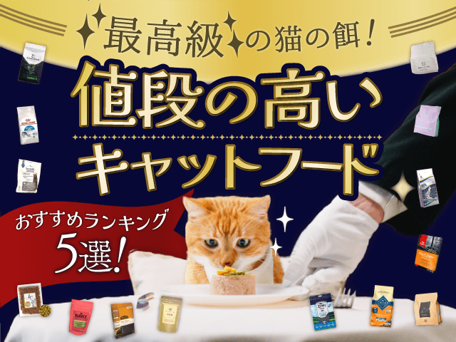 最高級の猫の餌！値段の高いキャットフードおすすめランキング5選！