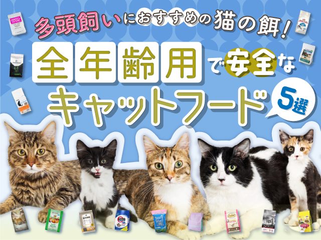 もぐにゃん 猫フード1.5kg✖️6袋 引き抜く もぐにゃん 猫フード1.5kg✖️6袋 引き抜く