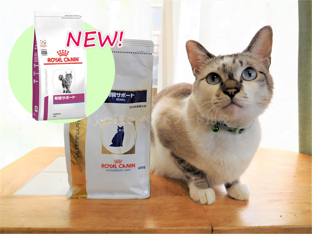 値引き ロイヤルカナン ROYALCANIN 猫用 療法食 肝臓サポート 2kg 1袋 キャットフード discoversvg.com
