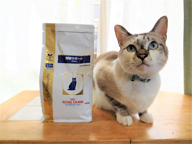 ロイヤルカナン療法食 猫 腎臓サポート ドライを買った口コミ評判と安全性 ロイヤルカナン療法食 猫 腎臓サポート ドライを買った口コミ評判と安全性