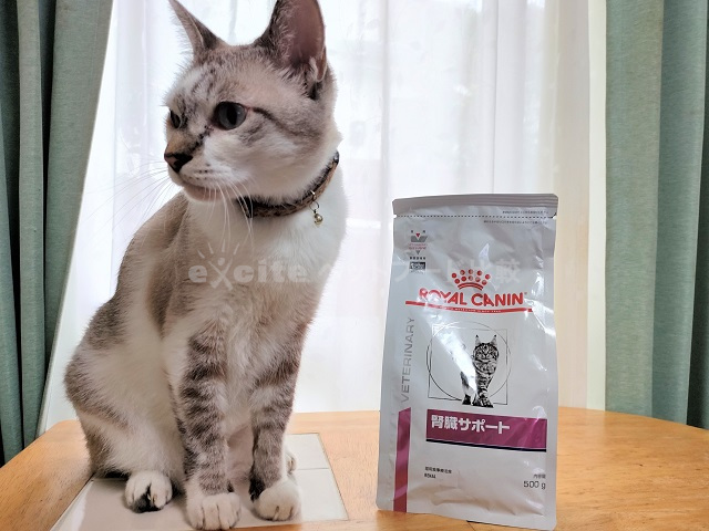 ロイヤルカナン療法食 猫「腎臓サポート」ドライを買った口コミ評判と