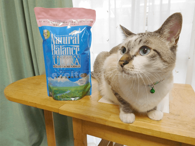 ナチュラルバランス リデュースカロリーを愛猫に買った口コミ評判 ナチュラルバランス リデュースカロリーを愛猫に買った口コミ評判