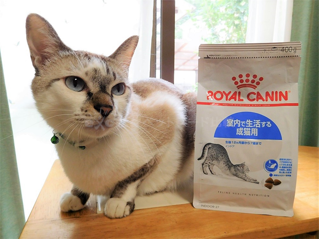 高い素材 【ひろえ様専用】ロイヤルカナン　インドア　猫用　4キロ×2個セット ペットフード