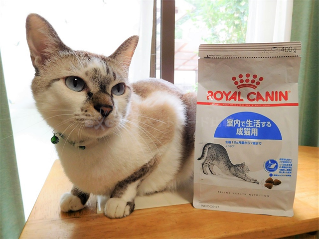 ロイヤルカナン インドア（室内猫用）を買った口コミ評判と安全性は？