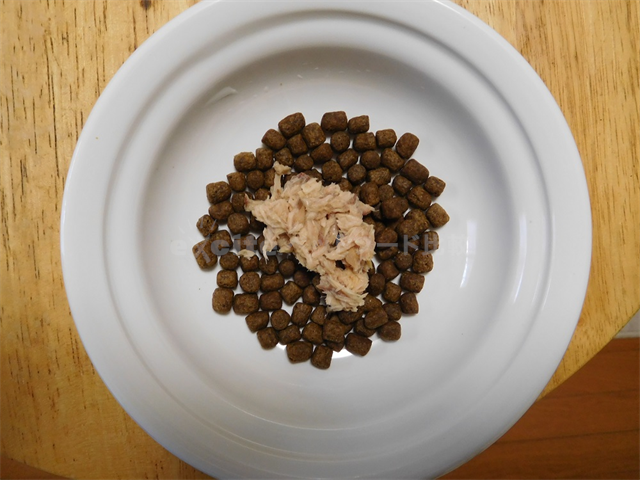 たまの伝説 パウチ を愛猫に購入した口コミ評判 安全性や評価は