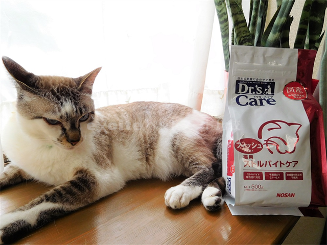 ドクターズケア　猫用ストルバイトケア　1.6kg  3袋