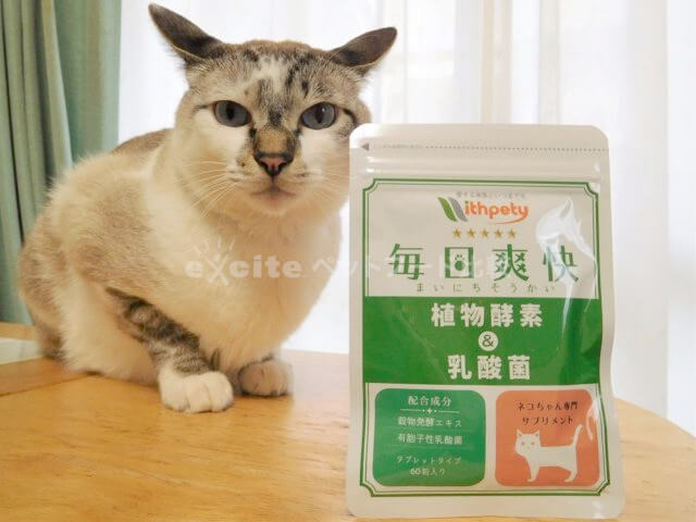 毎日爽快を愛猫に試した私の口コミ評判 安全性 評価も詳しく解説