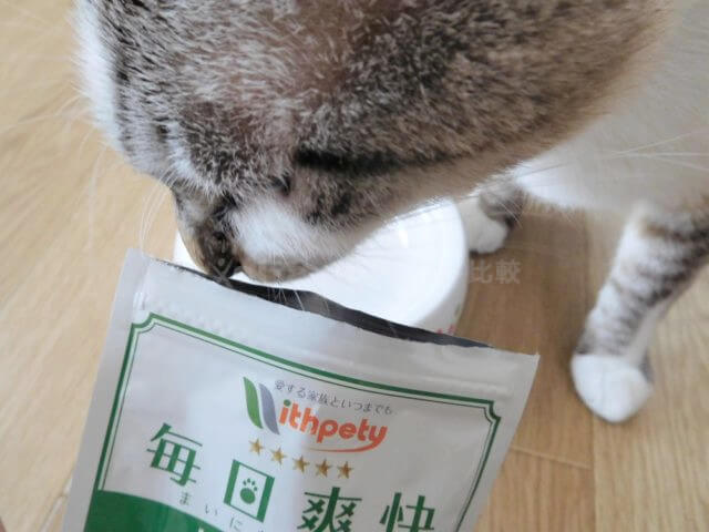 毎日爽快を愛猫に試した私の口コミ評判 安全性 評価も詳しく解説 毎日爽快を愛猫に試した私の口コミ評判 安全性 評価も詳しく解説