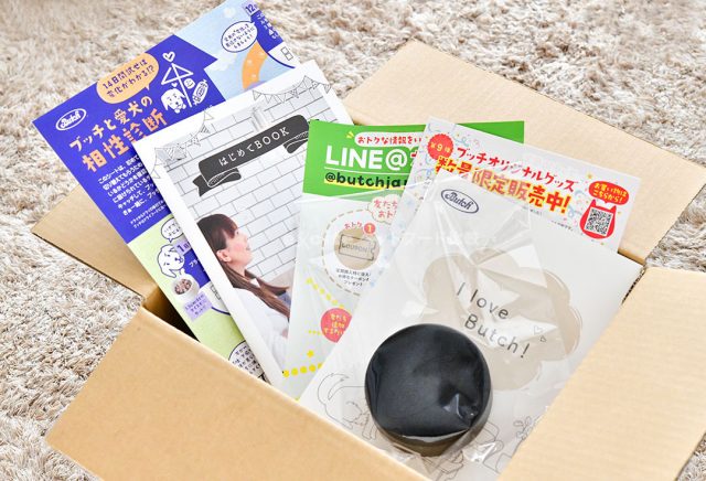 評判は真実 ブッチドッグフードを実際に愛犬にあげてみた口コミ