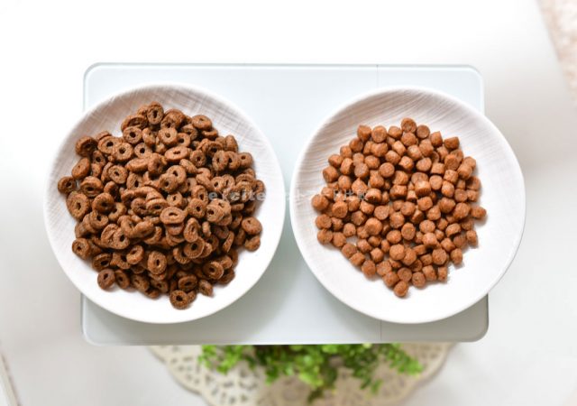 評判は真実？】ファインペッツドッグフードを実際に愛犬に食べさせた 