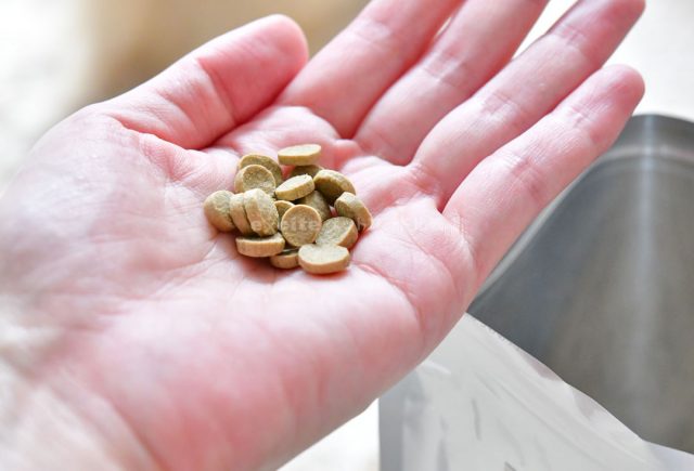 評判は真実？】このこのごはんドッグフードを実際に愛犬に食べさせた 