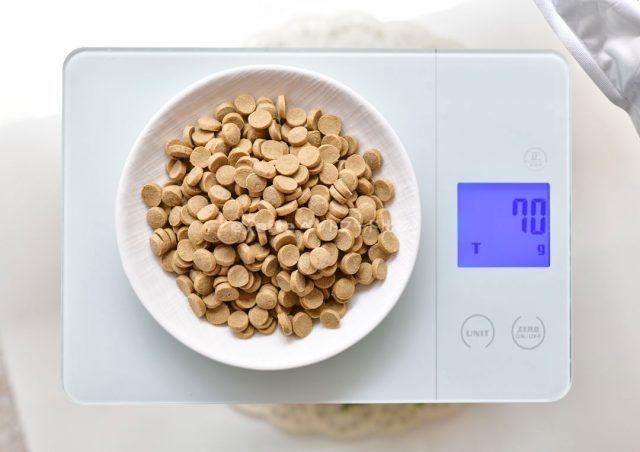 評判は真実？】このこのごはんドッグフードを実際に愛犬に食べさせた 