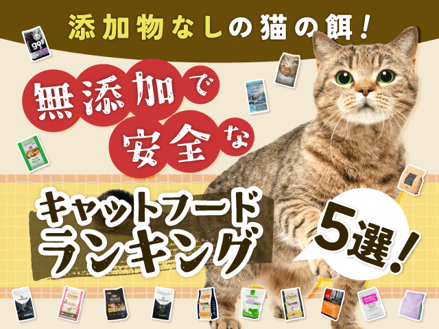 添加物なしの猫の餌！無添加で安全なキャットフードランキング5選！