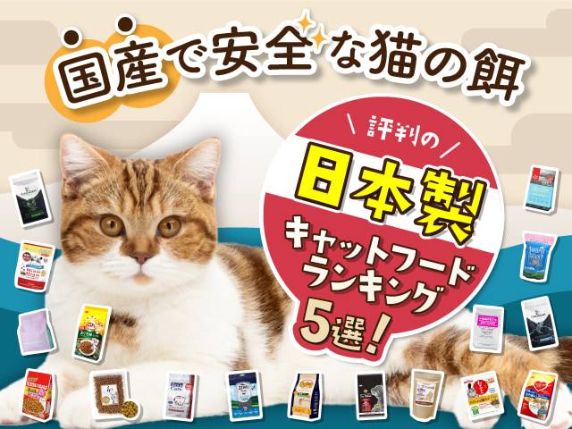 国産で安全な猫の餌】評判の日本製キャットフードランキング5選！