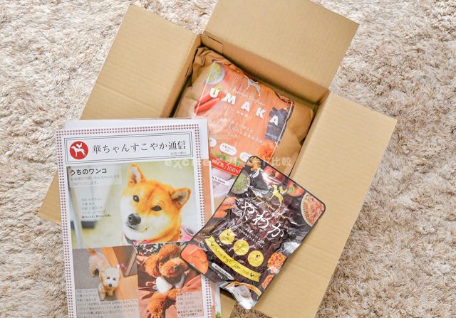 評判は真実？】うまかドッグフードを実際に愛犬に食べさせた口コミ！