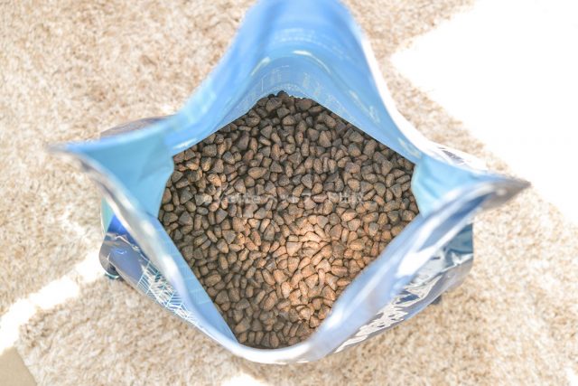 評判は真実？】ネルソンズドッグフードを実際に愛犬に食べさせた口コミ！