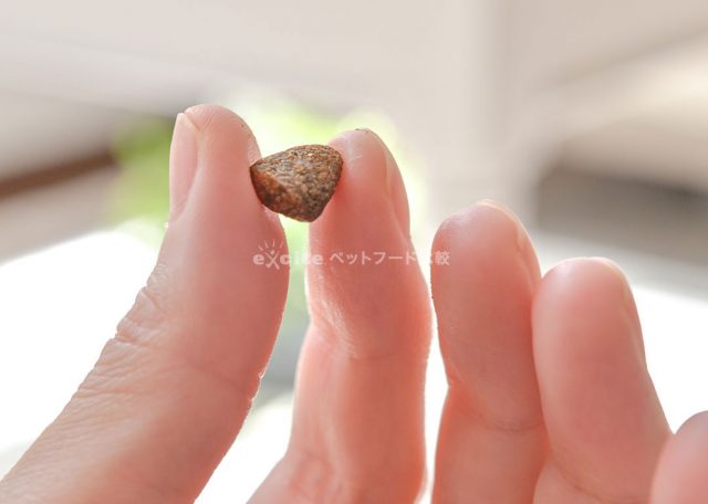 ネルソンズドッグフード