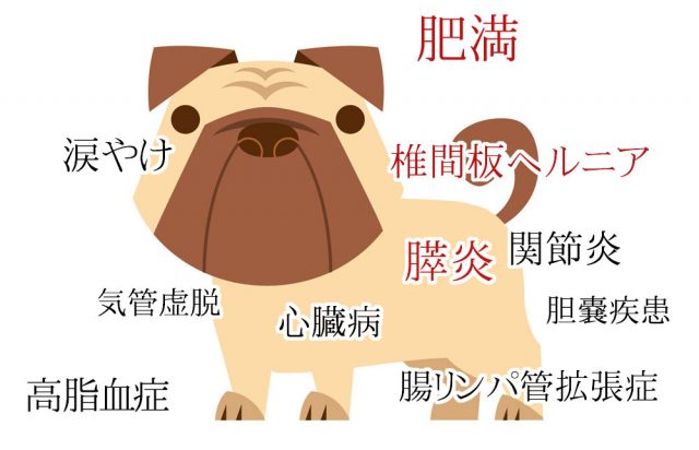 低脂肪ドッグフードが向いている犬