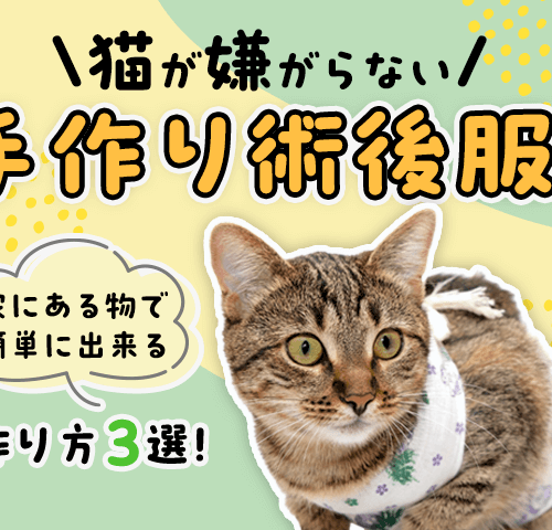 猫が嫌がらない手作り術後服！家にある物で簡単に出来る作り方３選！