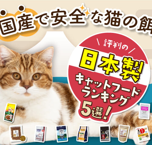 【国産で安全な猫の餌】評判の日本製キャットフードランキング5選！