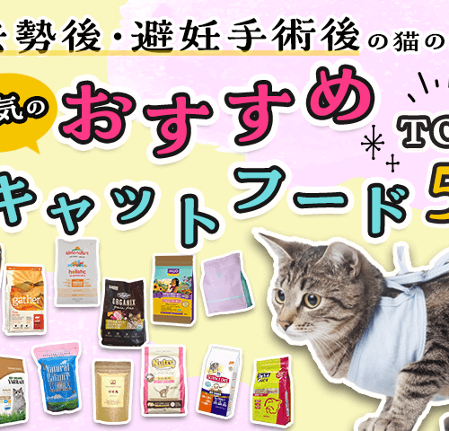 【去勢後・避妊手術後の猫の餌！】人気のおすすめキャットフードTOP5