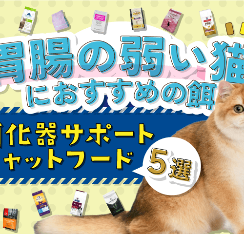 【胃腸の弱い猫におすすめの餌】消化器サポートキャットフード5選