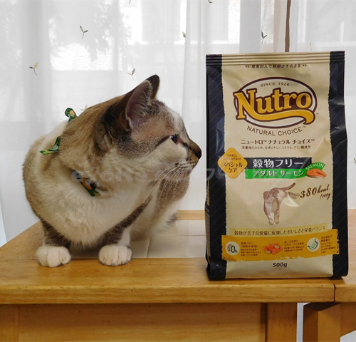 ニュートロ ナチュラル チョイスを愛猫に購入した口コミ評判と安全性！