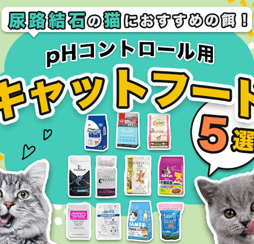 尿路結石の猫におすすめの餌！pHコントロール用キャットフード5選